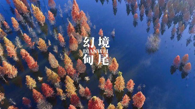 拯救小犀牛