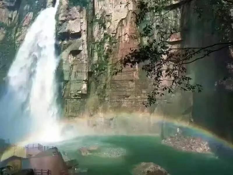 逃离未知丛林2